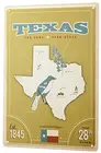 Оловянная металлическая пластина декоративная табличка для домашнего декора плакаты 30x40 см Globetrotter Texas Mockingbird blaube upine