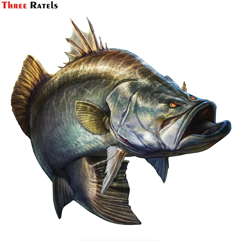 

Three Ratels FTC-886# 14cmx13.2cm Savage Barramundi Personality Animal Fish PVC Car Styling Motorcycle Sticker Decal