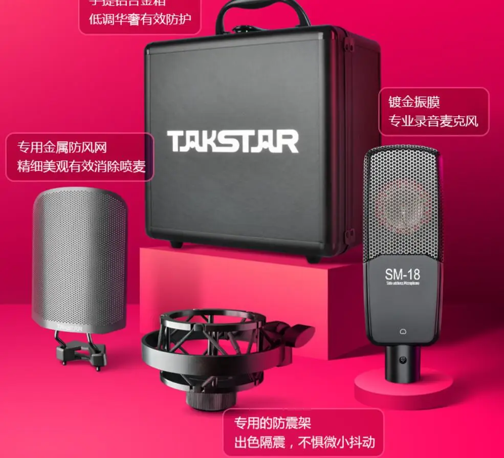 Takstar SM-18 боковой адрес профессиональный микрофон для записи
