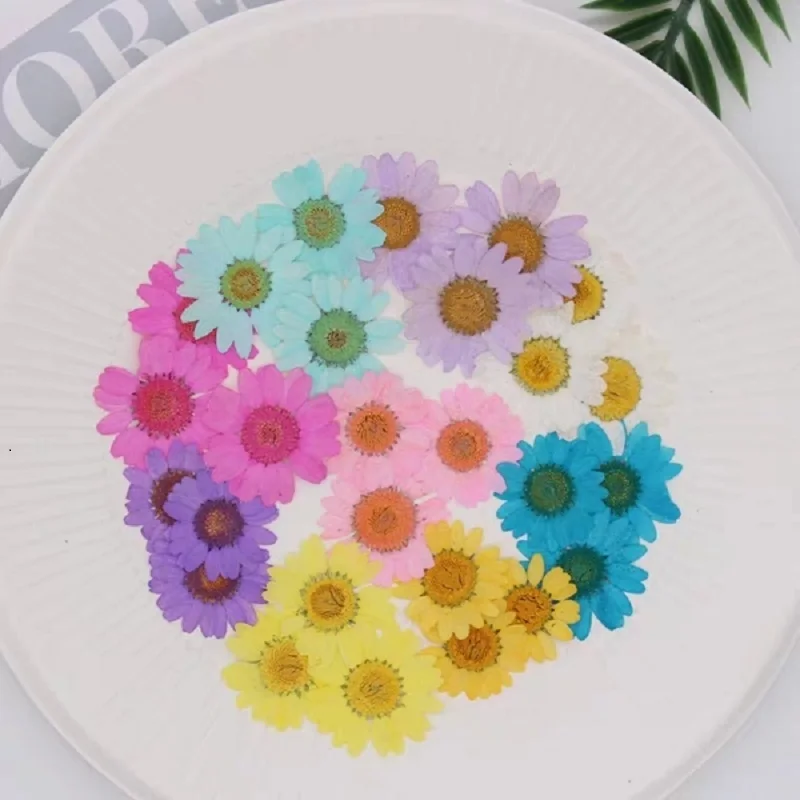 120 шт. прессованный высушенный Дейзи цветок растения для эпоксидной смолы кулон