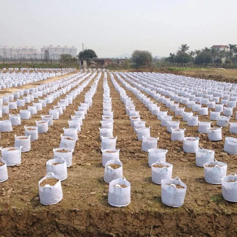 

5 Sizes Thicken Garden Planting Bags White Fabric Pots Plant Pouch Root Container Cultivation Pot Grow Bag Aeration Container
