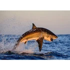 Алмазная картина 5D 