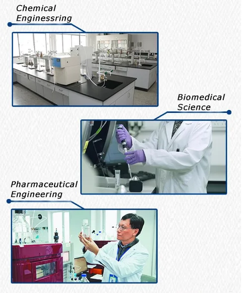 

Large Vacuum Pump For Lab