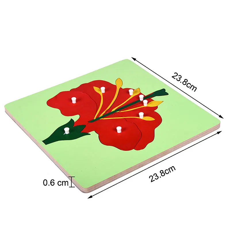 

Montessori Educational Wooden Toys Animal Puzzle Bird Fish Turtle Montessori Sensorial Board Early Montessori Materials