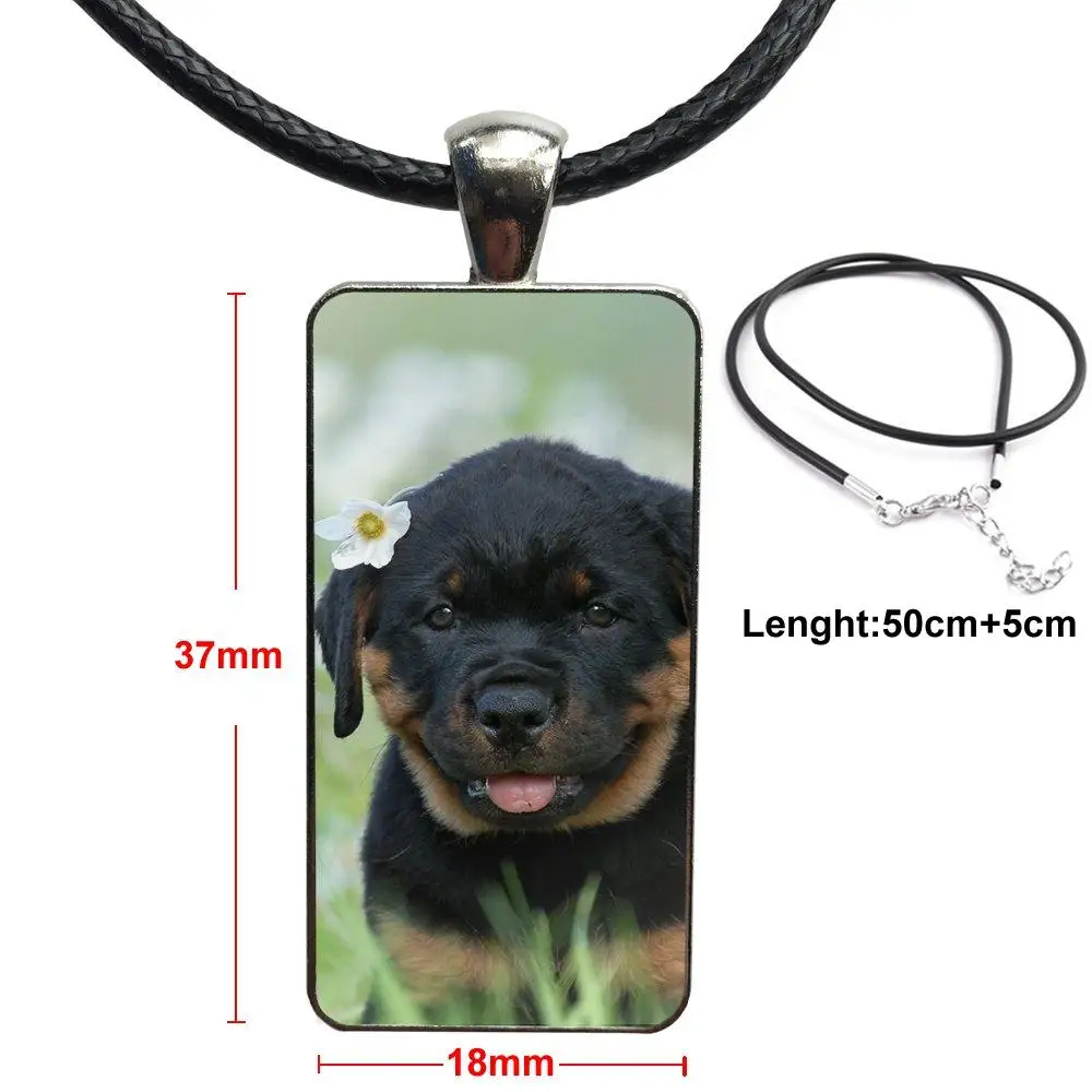 

Rottweiler Dog Puppies 5 Glass Pendant Galaxy Pendant Necklace Women Steel Plated Necklaces Jewelry For Lovers Best Friendship