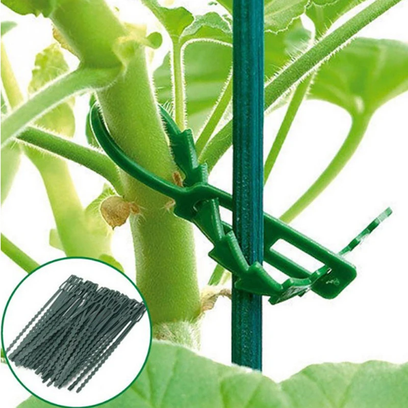 

50Pcs Green Gardening Vine Climbing Plants Cable Tie Lines Plant Brackets Part Bonsai Flower Cucumber Grape Rattan Supports Tool