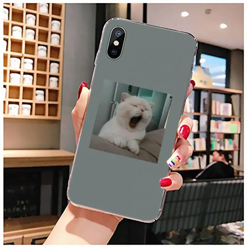 

Cute Animal Cat Dog Art funny Phone Case For iphone 12 11 pro Max Mini 7 8 plus X XR XS xiaomi 10 9 8 6 9t Pro lite max3