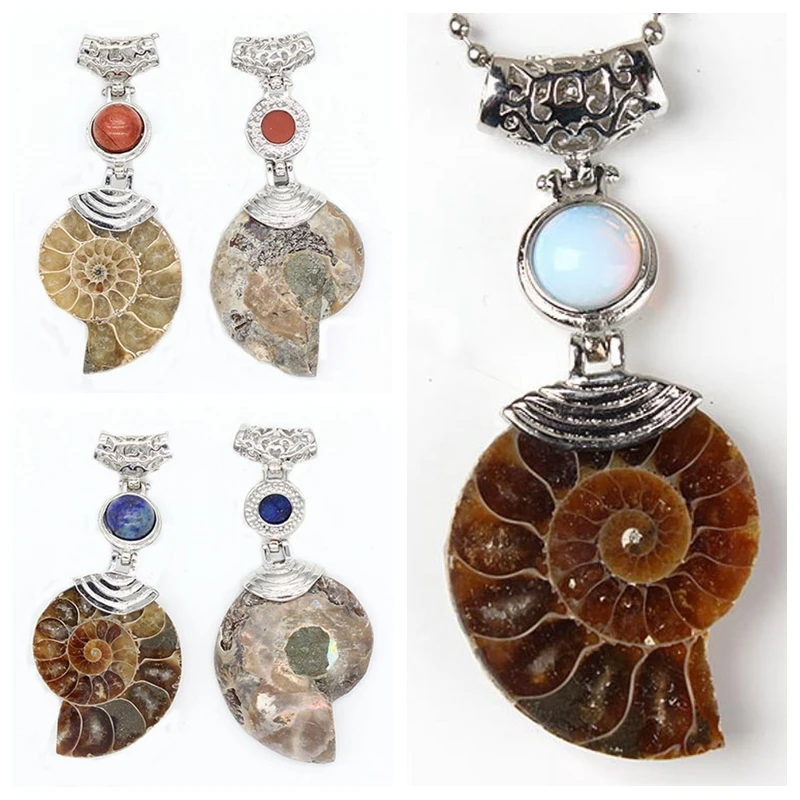 Новый богемный кулон в виде кеттинга натуральный аммонит ракушки окаменелости