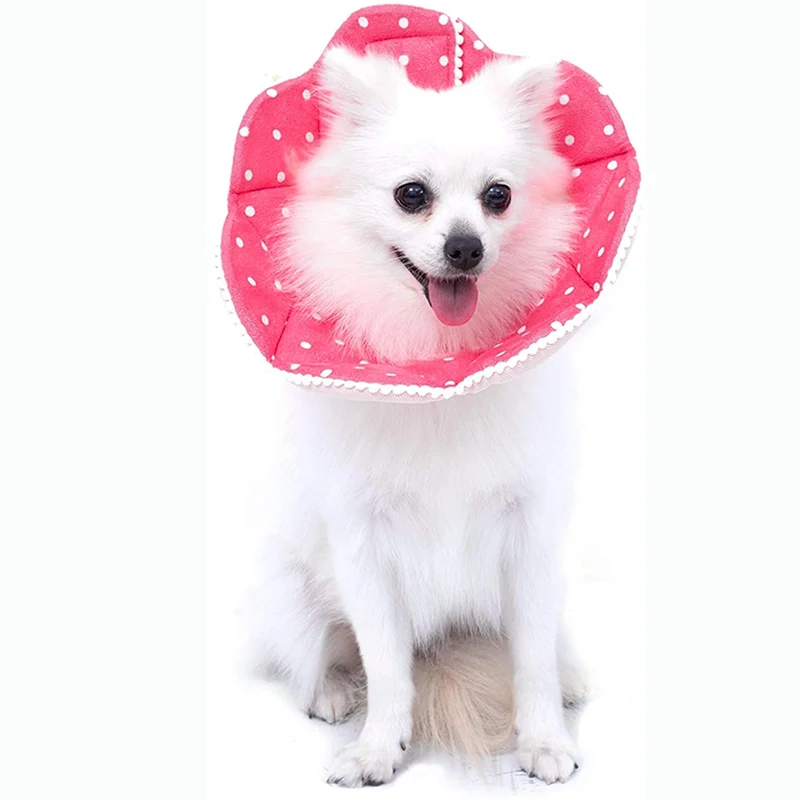 @ HE медицинский ошейник для домашних животных защита от укусов ошейники питомцев