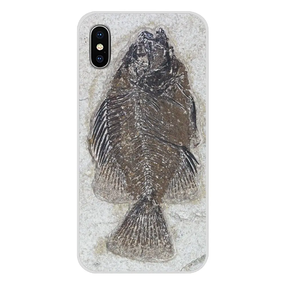 Биологические окаменелости растения динозавра рыбы для Oneplus 3 5 6 7 T Pro Nokia 2 8 9 230 1 Plus