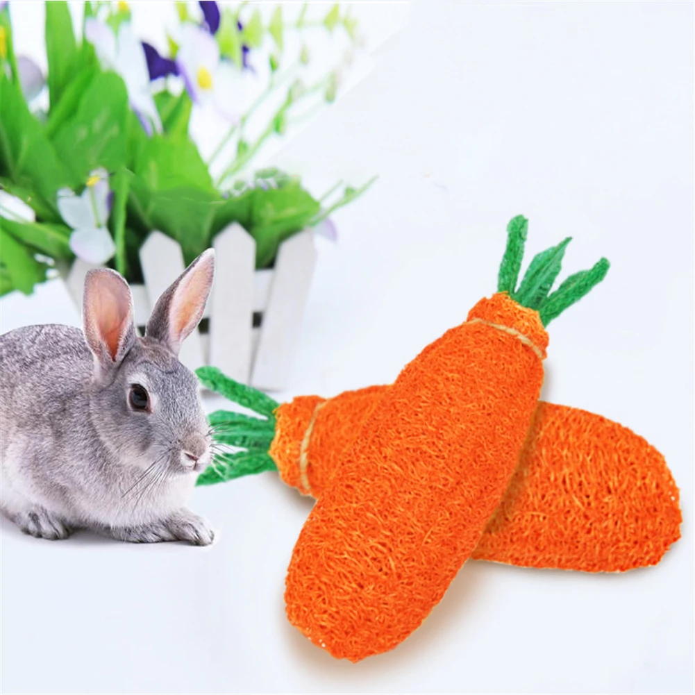 

Pet Stuff Molar Radish Hamster Rabbit Chew Toys Chinchilla Accessories Loofah Sponge Carrot for Dwarf Animal Guinea Pig Bite Toy