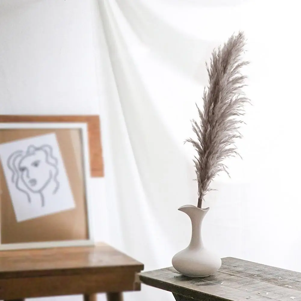 3Pcs/Set Natural Dried Flower Pampas Grass Gray Reed Home Decoration Wedding Layout Corner Shop Display Window Accessories - купить по