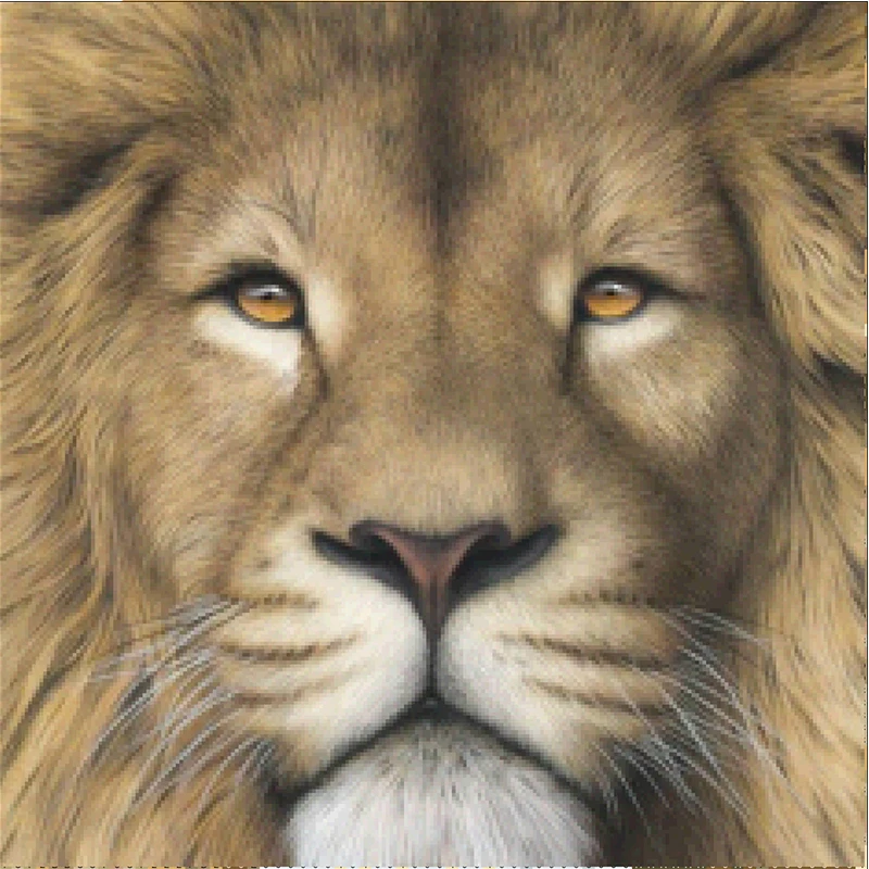

Full drill square round paint diamond painting kits lion painting 5d diy diamond painting