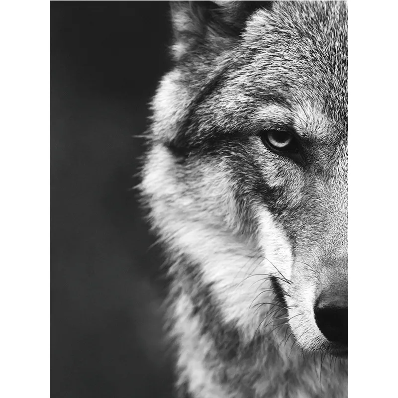 

Nordic Style Wolf Head Wall Art Pictures Wild Animals Posters Black White Canvas Painting Print Home Room Decoration Unframed