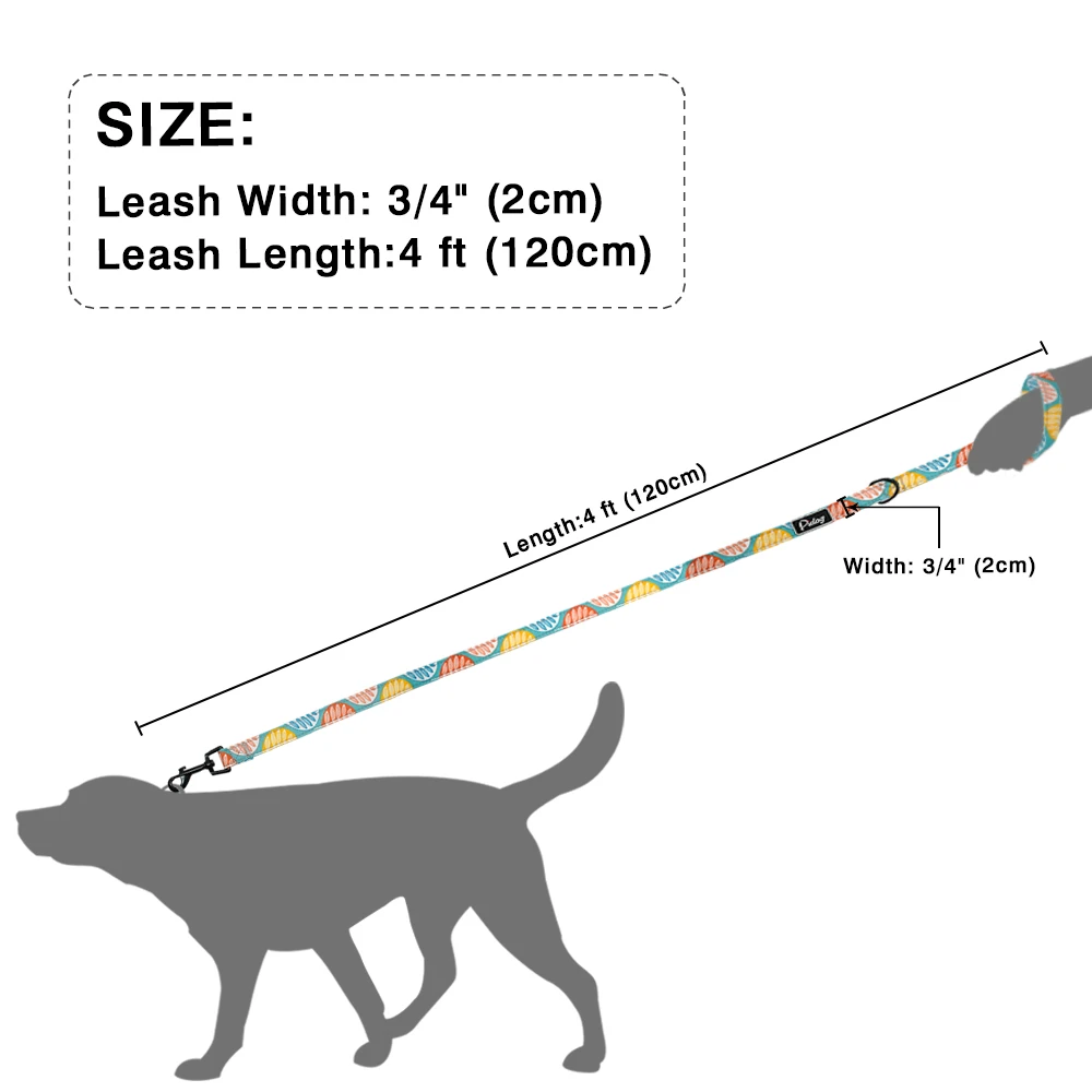 

4ft Mode Patroon Hondenriem Gedrukt Nylon Huisdier Aangelijnd Touw Voor Kleine Middelgrote Honden Soft Pet Lopen Riemen