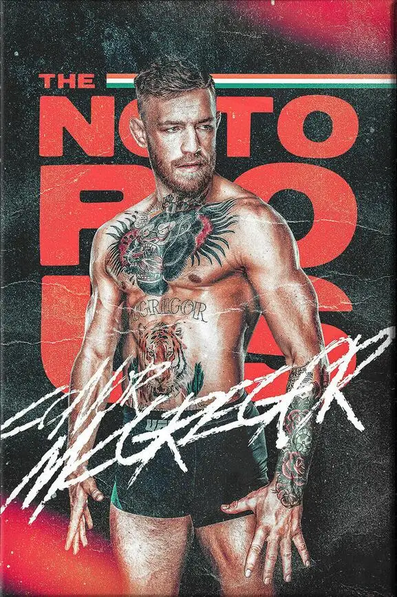 

Conor McGregor художественный Шелковый плакат с принтом 24x36 дюймов