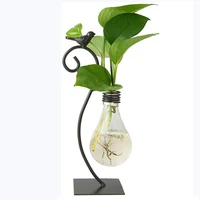 hydroponic plants holder terrarium vase for fresh flowers plant minimalist decorative plant pot for home table desk shelf decor