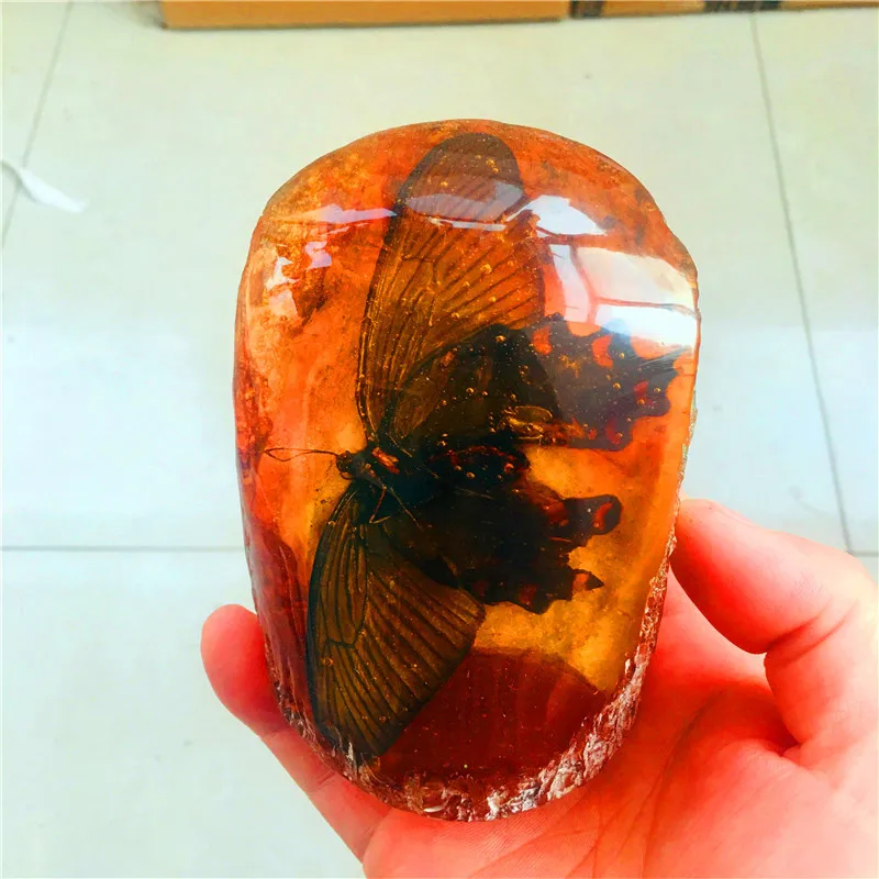 

10cm Natural Amber Beeswax Raw Crystal Stone Insect Display Scorpion Butterflies Cicada Ball Home Decor Feng Shui Decoration