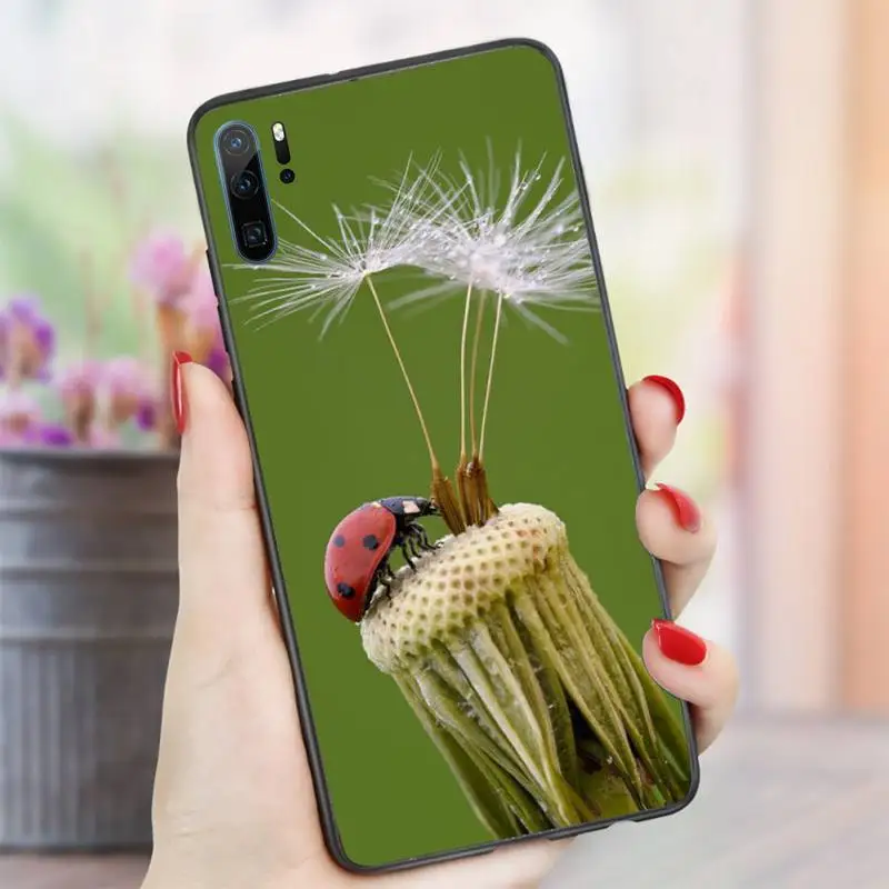

four leaf ladybug daisy Phone Case For Huawei honor Mate P 10 20 30 40 i 9 8 pro x Lite smart 2019 nova 5t