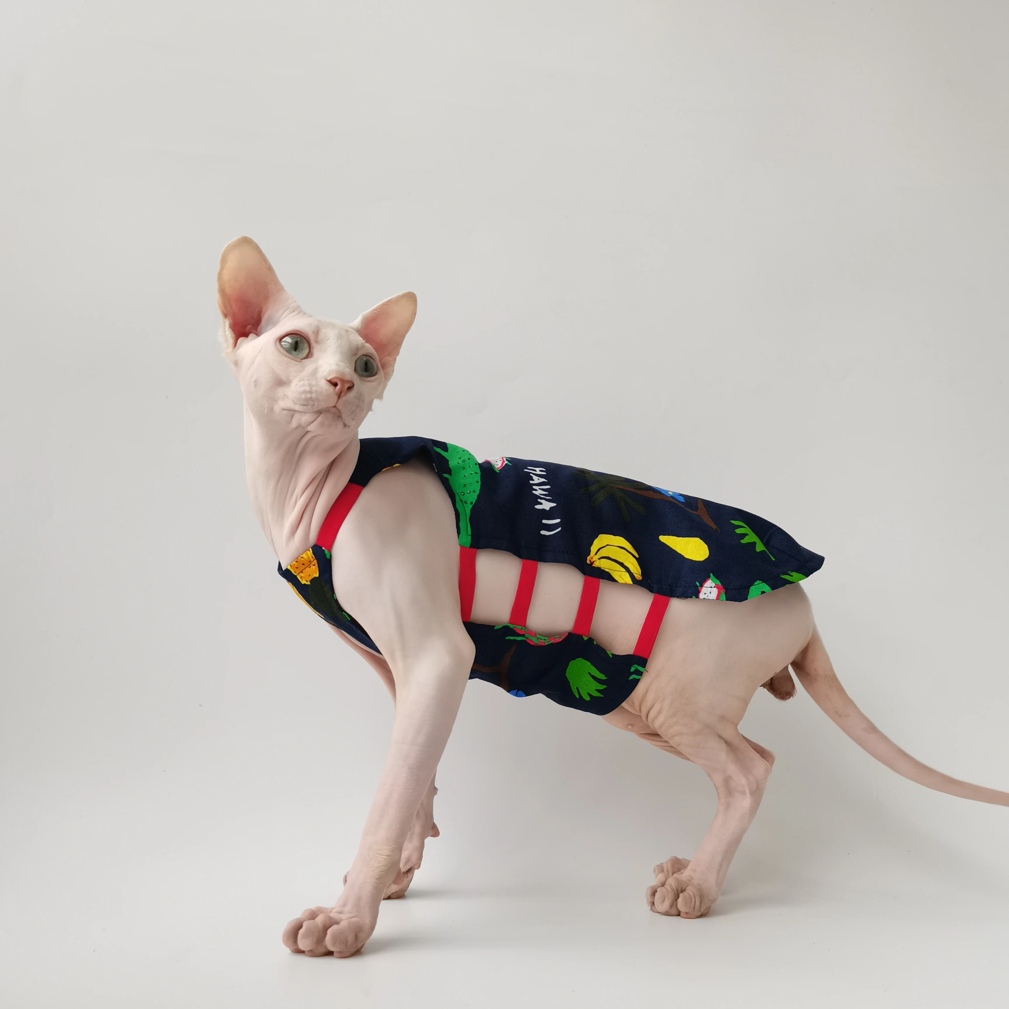 

Летнее тонкое платье без косточек из немецкого хлопка с принтом Сфинкса