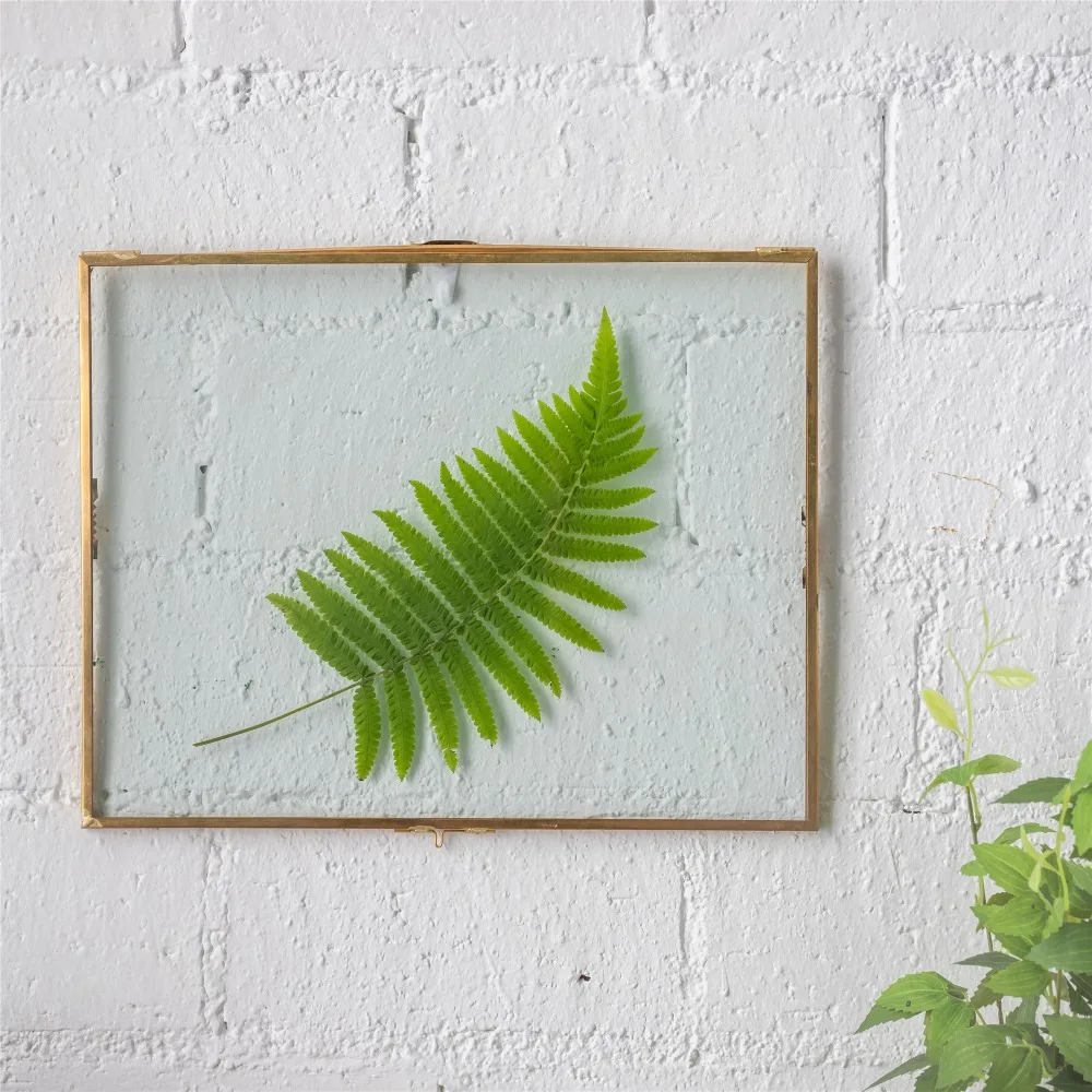 28x36cm Retro Glass Picture Frame Display Poster Plants Specimen Clip Home Office Wall Decoration Card Photo Frames Rectangle