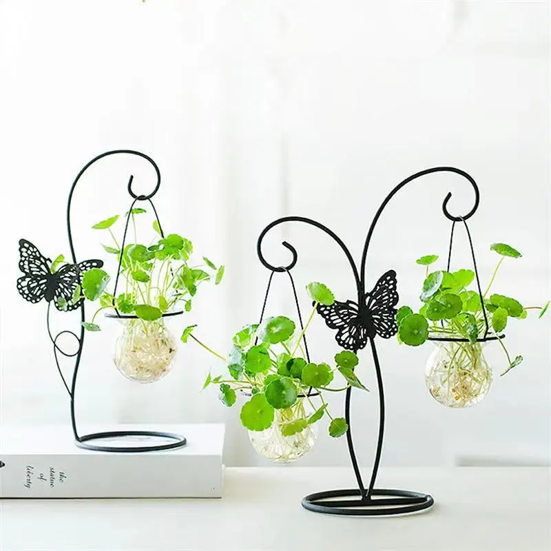 Креативная новая маленькая свежая зеленая гидропонная растительная стеклянная