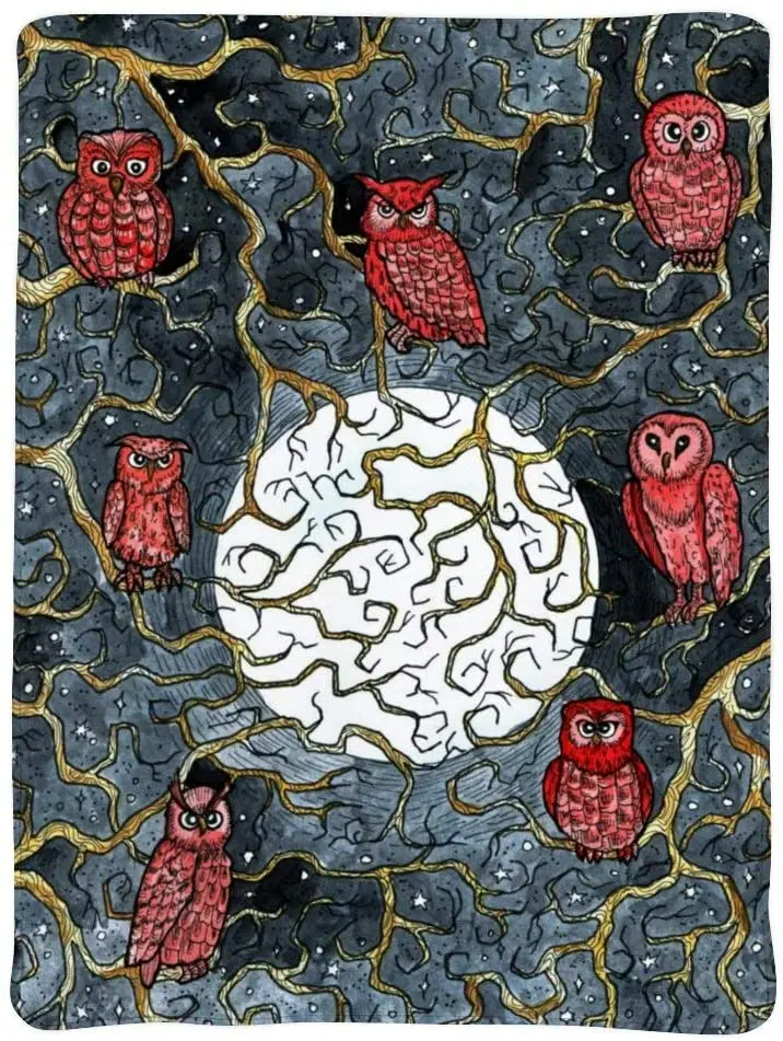 

Fall Throw Blanket Colorful Owl Soft Microfiber Lightweight Cozy Warm Blankets & Throws for Couch Bedroom Living Room