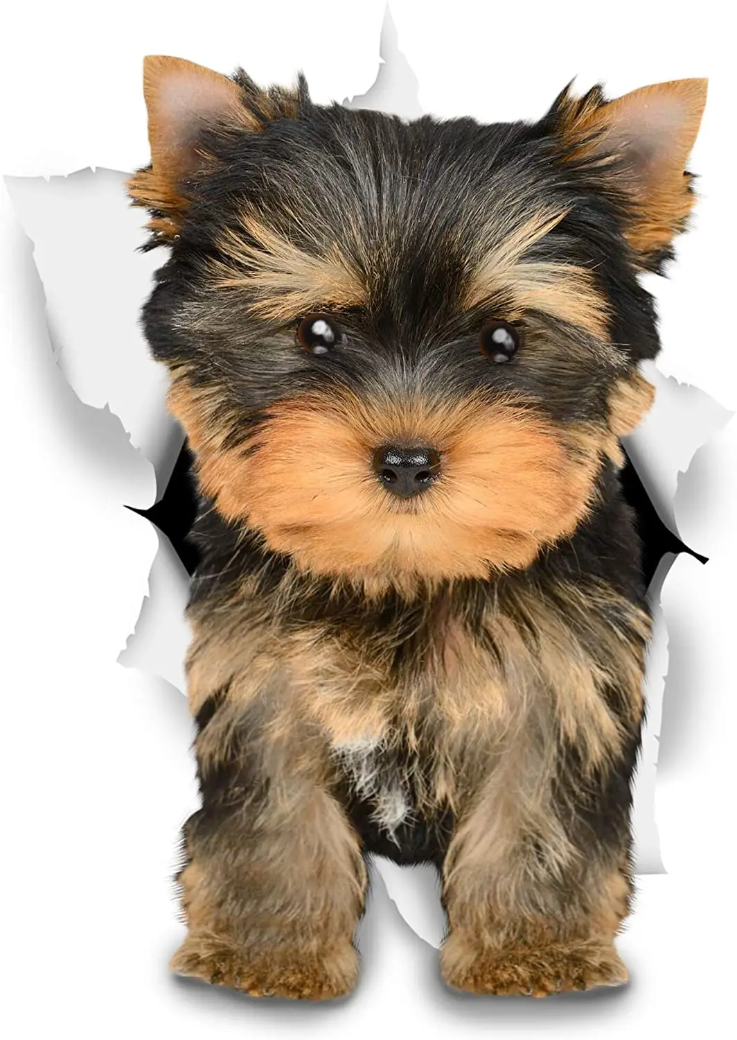 

Car Sticker Cute Brown Yorkie Decorative Covering Scratch Decal Notbook Truck Motorcycle Car Accessories PVC,12cm*9cm