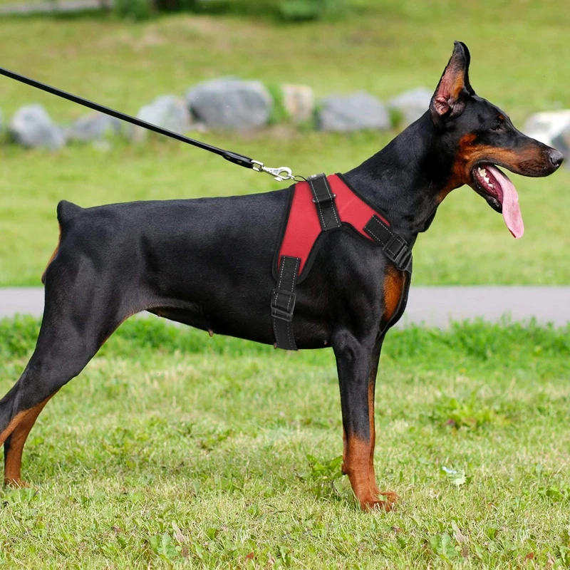 Бесплатная доставка Жилет для сервисных собак для прогулки, ошейник, поводок, подкладка, зимняя леопардовая одежда.