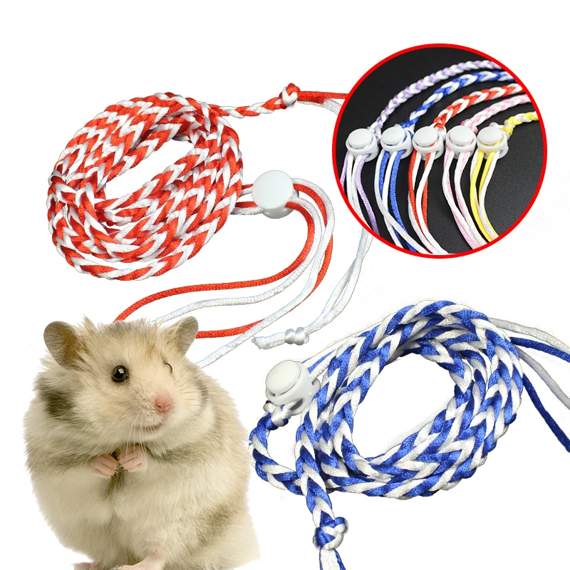 

Handmade Woven Rope Design Hamster Squirrel Traction Rope Small Pet Hand Holding Rope 1.4m/2m Random Colour Collar Rope ZA218