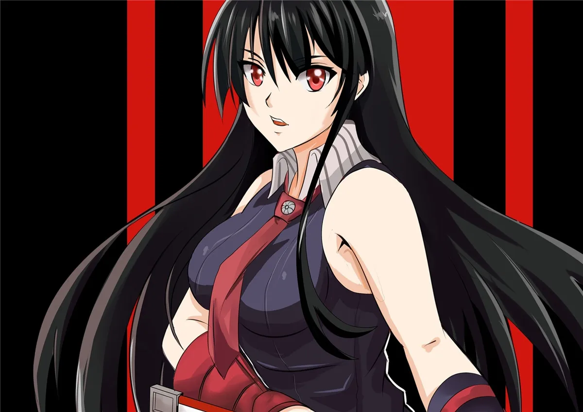 Аниме постеры WTQ Akame Ga KILL! Картина на холсте с ночным Рейдом Татсуми Акаме Мина