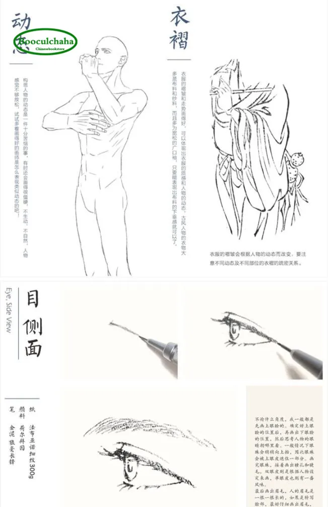 Учебная книга по акварелью в старинном стиле: цветы ивы и несовершеннолетние |