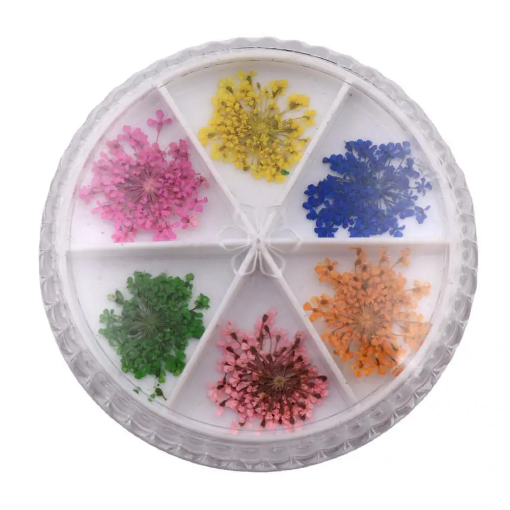 

12Pcs/Set Nail Floral Decals Practical Various Colors Natural for Female Nail Flower Ornament Nail Flower Decoration