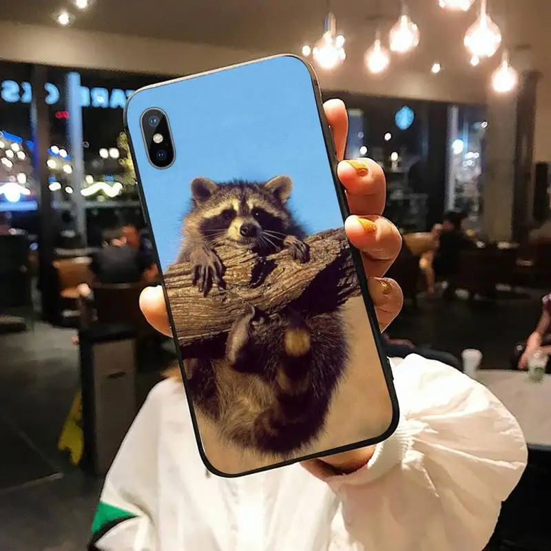 

Raccoon cute animal Phone Case for iPhone 11 12 pro XS MAX 8 7 6 6S Plus X 5S SE 2020 XR