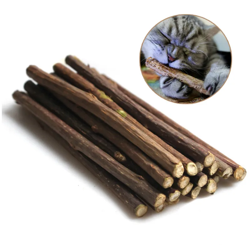 Натуральная кошачья мята Pet Cat зубная паста для кошек Matatabi плод актинидии Silvervine