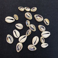 exquisite natural small shell pendant thinly sliced shell beads for diy jewelry handmade home decoration wind chimes accessories