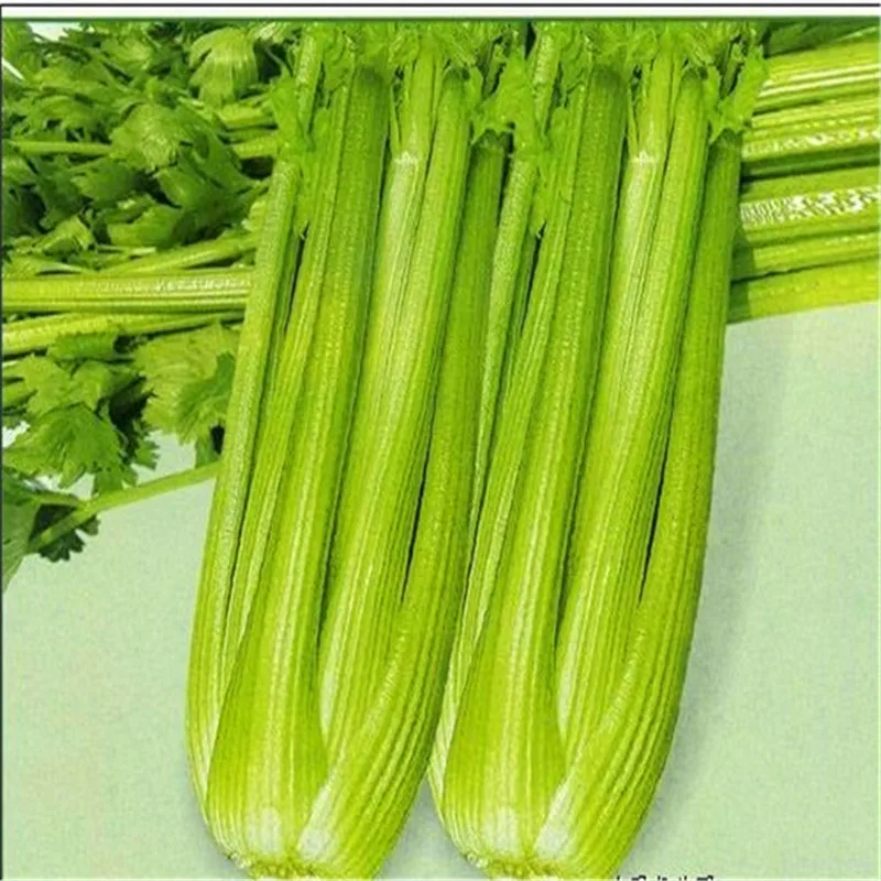 Сельдерея 100 шт |