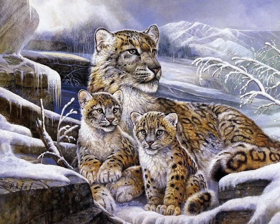 Алмазная картина, тигр, снежный леопард, 5d, сделай сам, мозаика, полная квадратная круглая дрель, стразы, алмазная вышивка, распродажа - Цвет: A0004