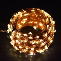 Decorative String Lamps 10M/20M/30/50M Copper LED Christmas Light With Remote And Driver For Garden Party Wedding Decoration