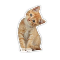 17 x11cm tabby cat o kitten colorful car sticker funny car stickers styling pvc