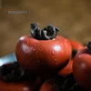 Изображение товара 1
