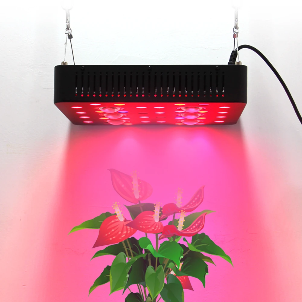 

2020 latest BP series LED plant light is made of high-power COB chipset full spectrum or customized