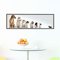 funny dogs cat pvc photo frame wall art stickers for office home decoration animal vivid 3d puppy kids room creative wall decals
