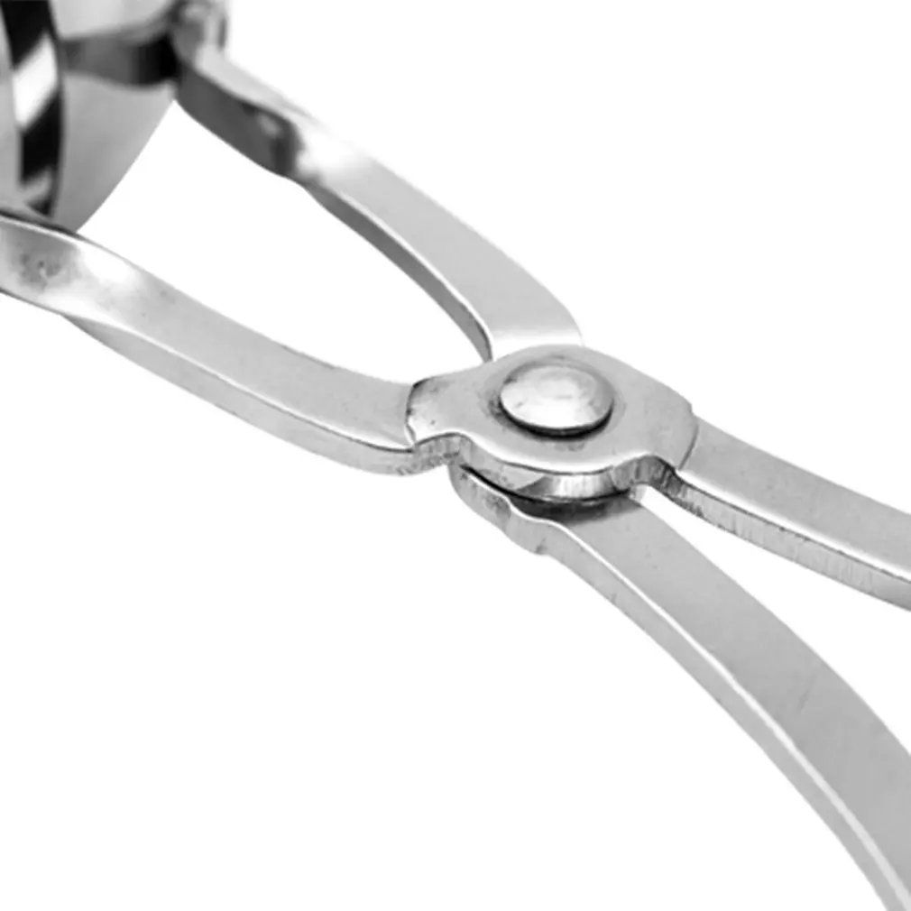 Из нержавеющей стали фрикадельки гранулы производители рыбы инструменты для яиц