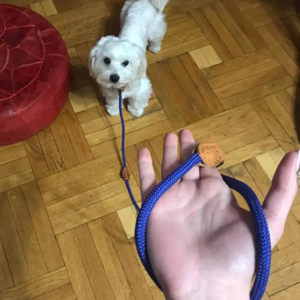 

Multifunction Double Leash P chain Collar Two Dog Leashes Nylon Adjustable Long Dog Training Leads Tied Dog Rope Pet Supplies