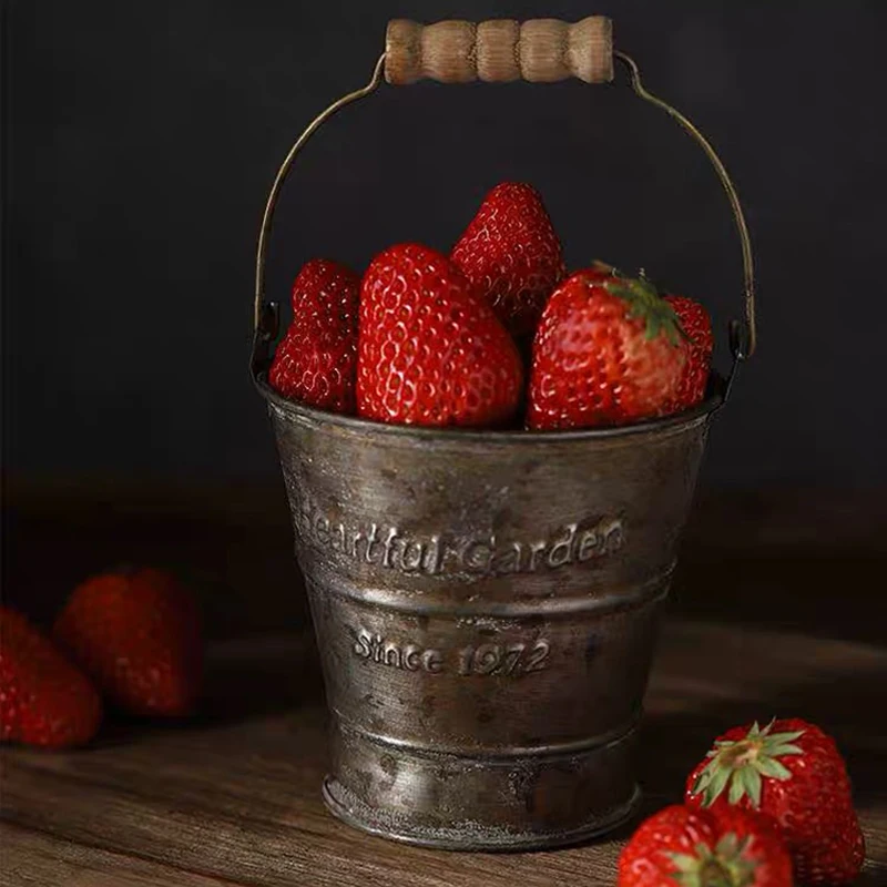 Винтажные Кованые железная посуда портативный цветочный горшок в английском