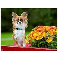full square diy diamond embroidery papillon dog diamond painting cross stitch animal pet pictures mosaic wall stickers