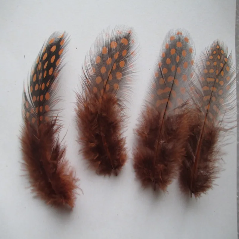 Перья птицы коричневого цвета 2 3 дюйма/5 8 см 20 шт.|guinea fowl feathers|guinea fowlguinea feather |