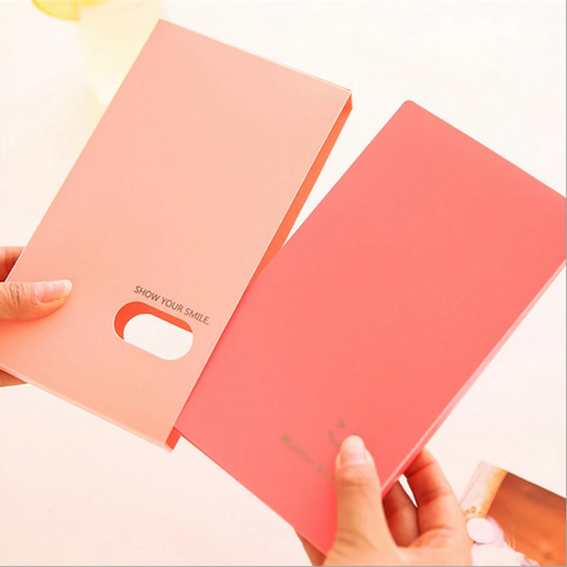 Чехол-книжка с карманами для документов 120 отделений | Дом и сад