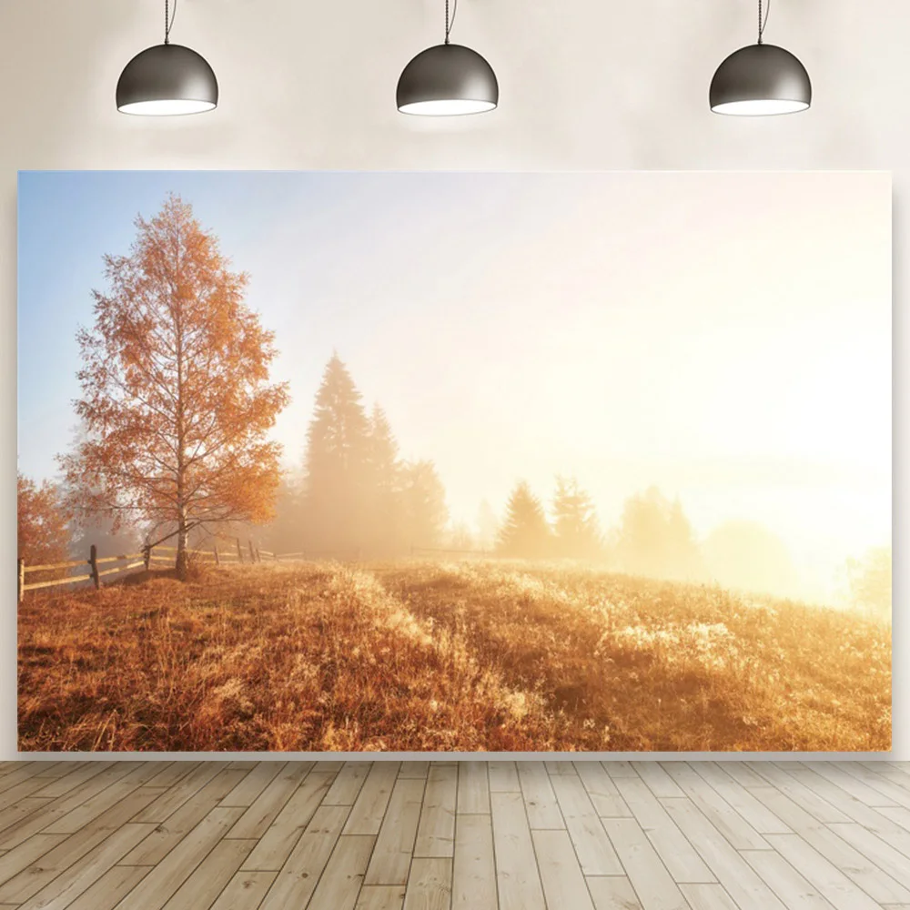 

Виниловый фон для студийной портретной фотосъемки с изображением утренсветильник осеннего леса озера